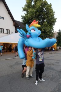 IMG 0522