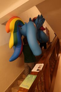 IMG 0532