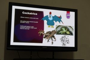 IMG 0568