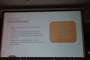 IMG 1043