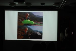 IMG 1173