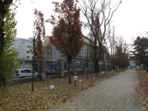 bratislava-2016 36